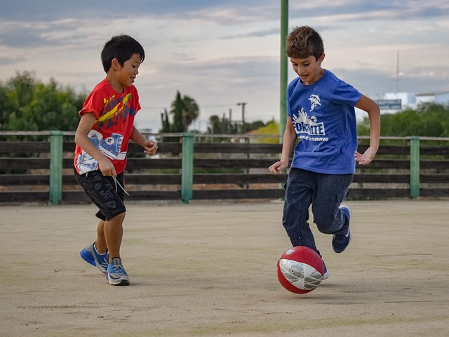 无论是哈兰 无论是哈兰