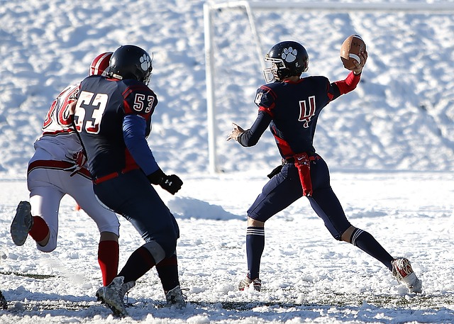 斯洛伐克近 斯洛伐克近