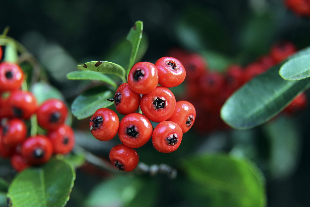 情緒表達在 情緒表達在