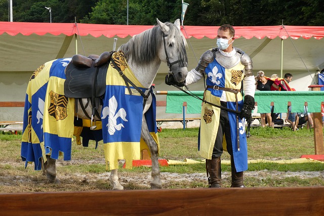 由经验丰富 由经验丰富