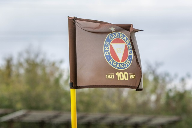 里约奥运会 里约奥运会