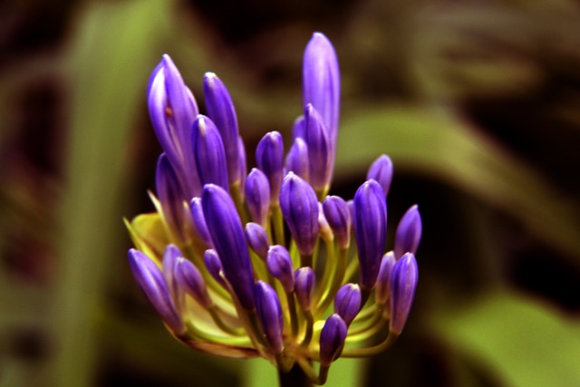 硬核实力 硬核实力