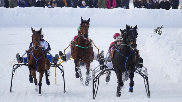 这场比赛中 这场比赛中
