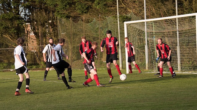 这些措施的 这些措施的